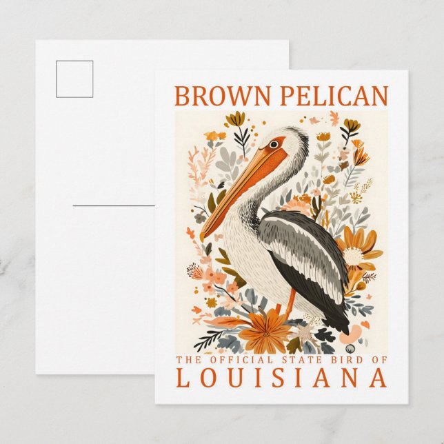 Carte Postale Brown Pélican Bird Louisiana USA Travel (Devant / Derrière)