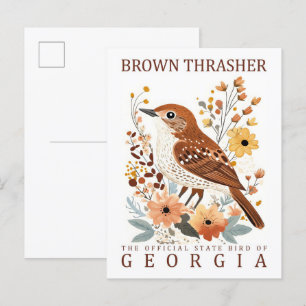 Carte Postale Brown Thrasher Bird of Georgia USA Travel