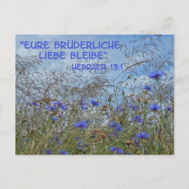 Carte Postale Brüderliche Liebe (Devant)