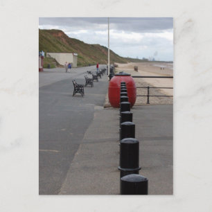 Carte Postale Brûlures de sel au bord de la mer