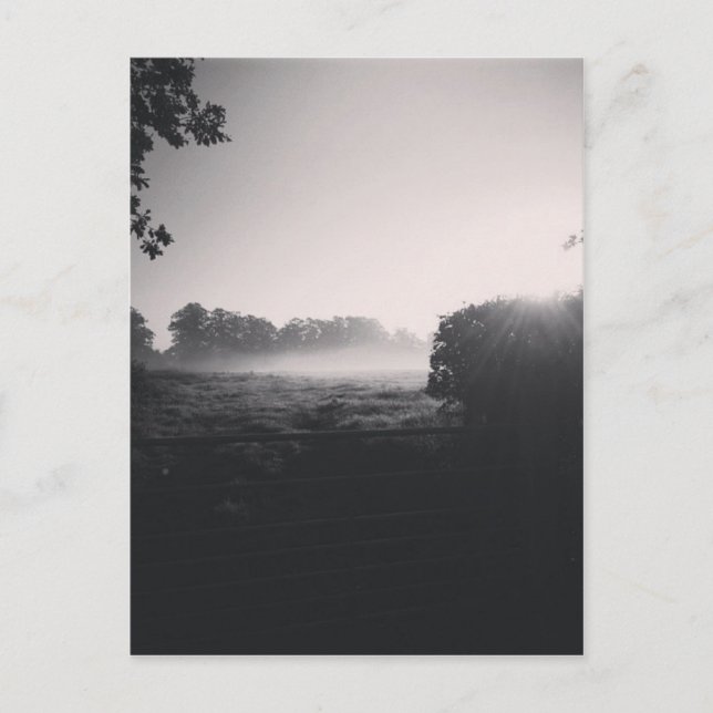 Carte Postale Brume matinale et soleil bas sur le terrain quand  (Devant)