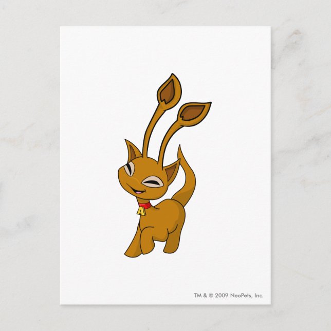 Carte Postale Brun d'Aisha (Devant)