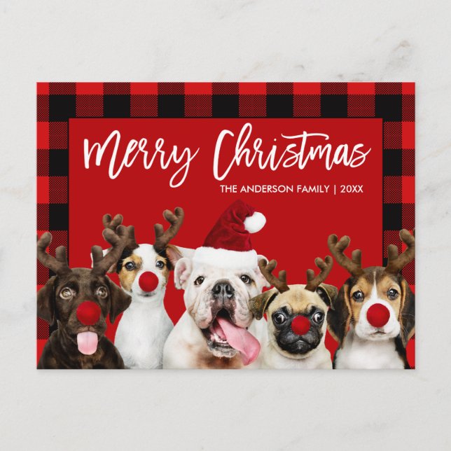 Carte Postale Brush Script Joyeux Chiens de Noël Rouge Plaid (Devant)