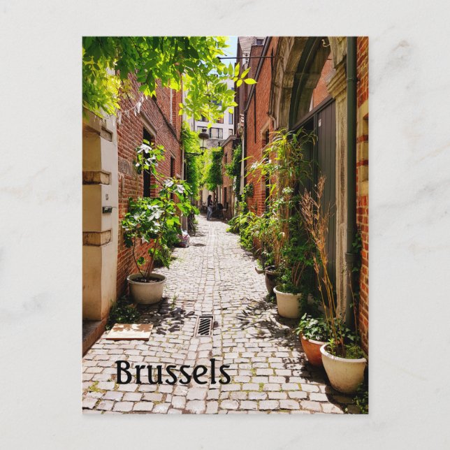 Carte Postale Bruxelles, Belgique (Devant)