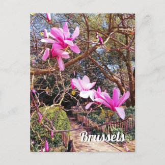 Carte Postale Bruxelles Belgique