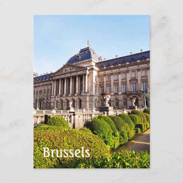 Carte Postale Bruxelles Belgique Palais Royal (Devant)
