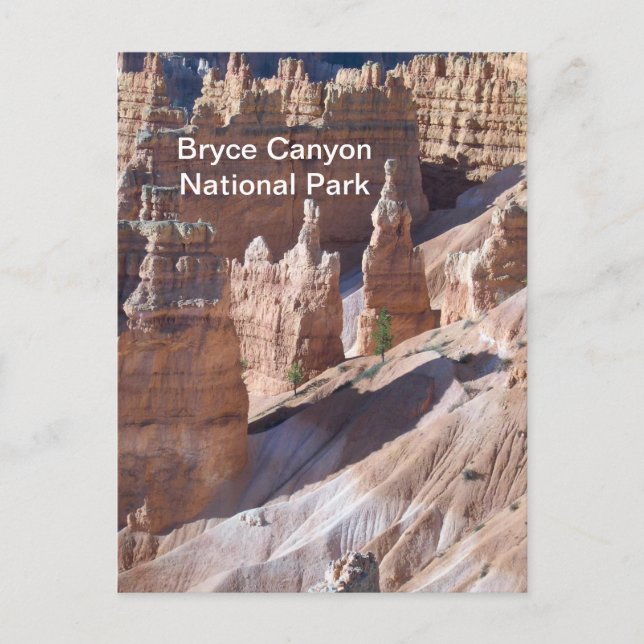 Carte Postale Bryce Canyon (Devant)