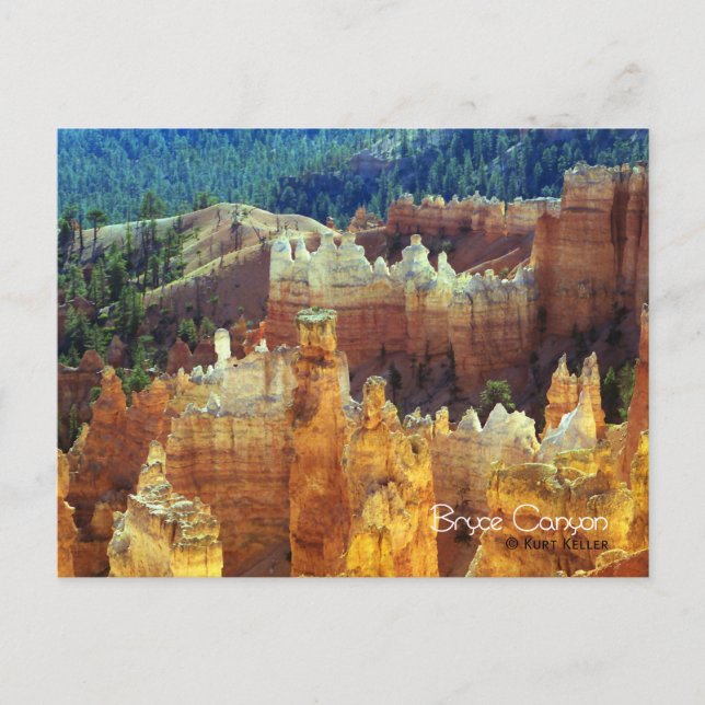 Carte Postale Bryce Canyon (Devant)
