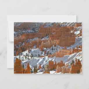 Carte Postale Bryce Canyon National Park Hoodoos avec neige