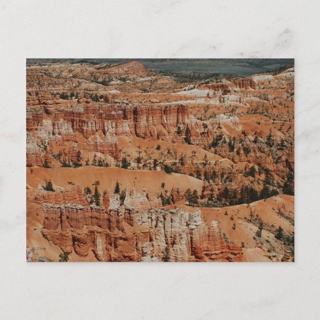 Carte Postale Bryce Canyon, Ut (Devant)