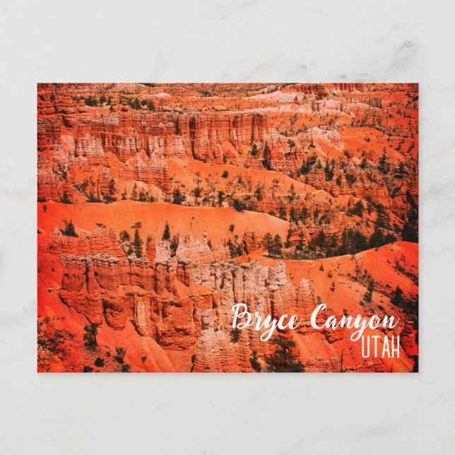 Carte Postale Bryce Canyon, Ut (Devant)