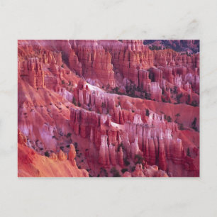 Carte Postale Bryce Canyon, Utah, USA