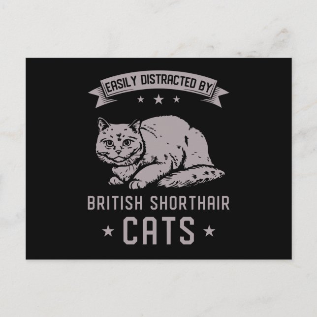 Carte Postale BSH British Shorthair (Devant)