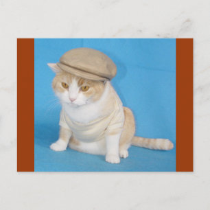 Carte Postale Bubba Kitty