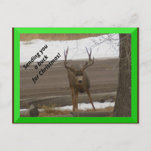 Carte Postale Buck for Christmas Postcard
