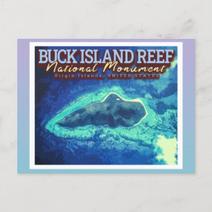 CARTE POSTALE BUCK ISLAND REEF - VIRGIN ISLANDS ÉTATS-UNIS
