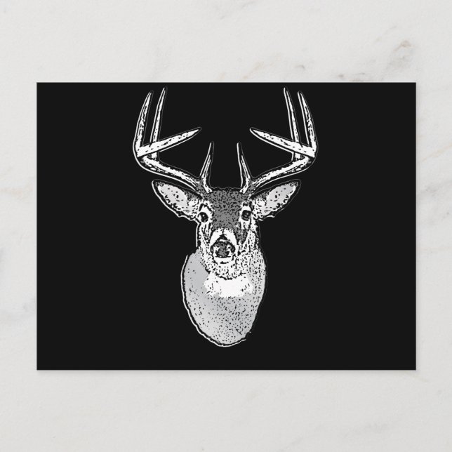 Carte Postale Buck sur la tête de cerf de queue blanche noire (Devant)
