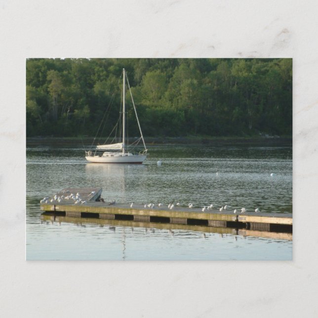 Carte Postale Bucksport Maine (Devant)