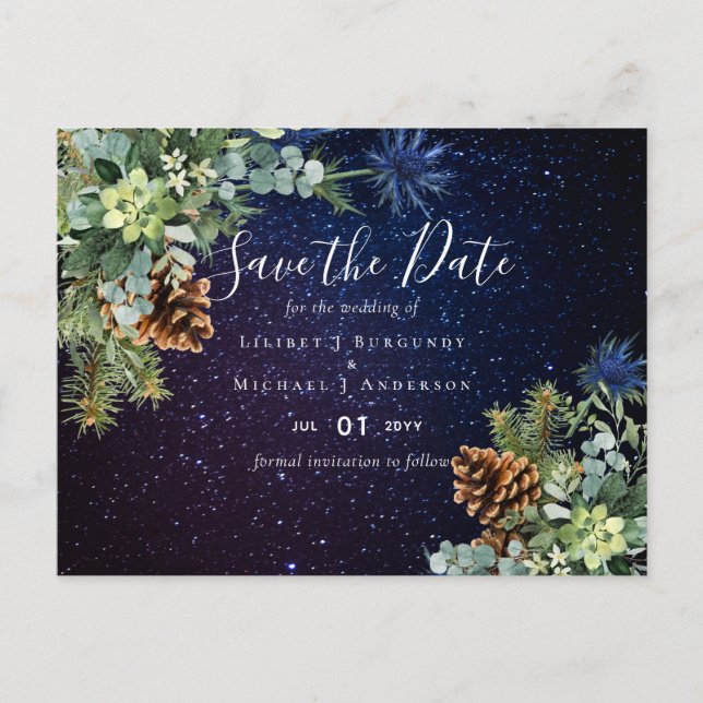 Carte Postale BUDGET Hiver Eucalyptus Pine Cônes Mariage (Devant)