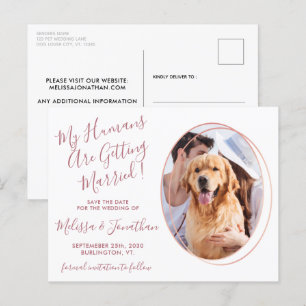 Carte Postale Budget Mariage Pet Photo Rose Or Enregistrer La Da