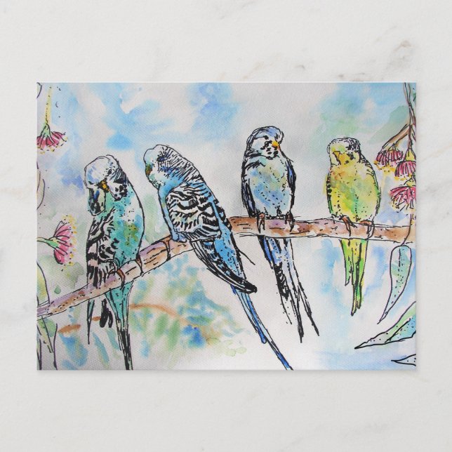 Carte Postale Budgie Aquarelle Peinture d'oiseau Budgies Aqua Tu (Devant)