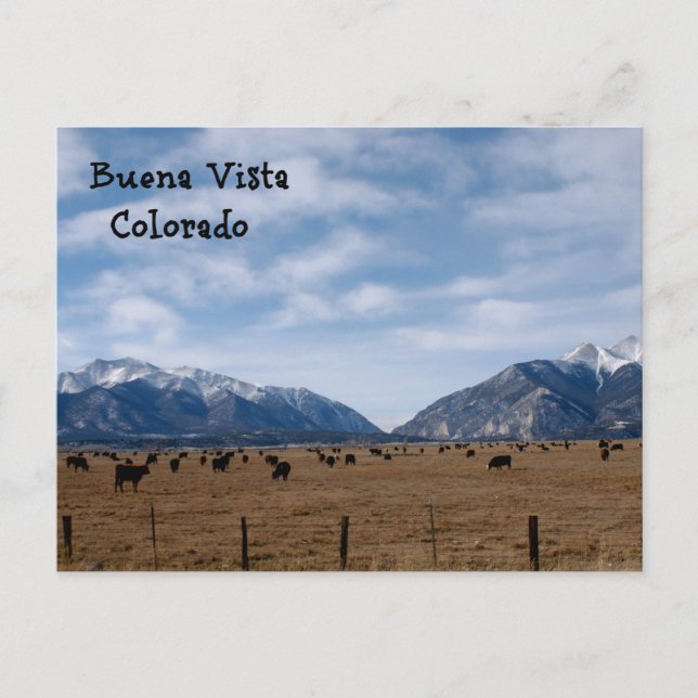 Carte Postale Buena Vista, CO (Devant)