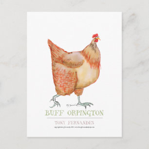 Carte Postale Buff Orpington hen, tony fernandes