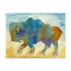 Carte postale Buffalo