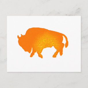 Carte Postale Buffalo Sun