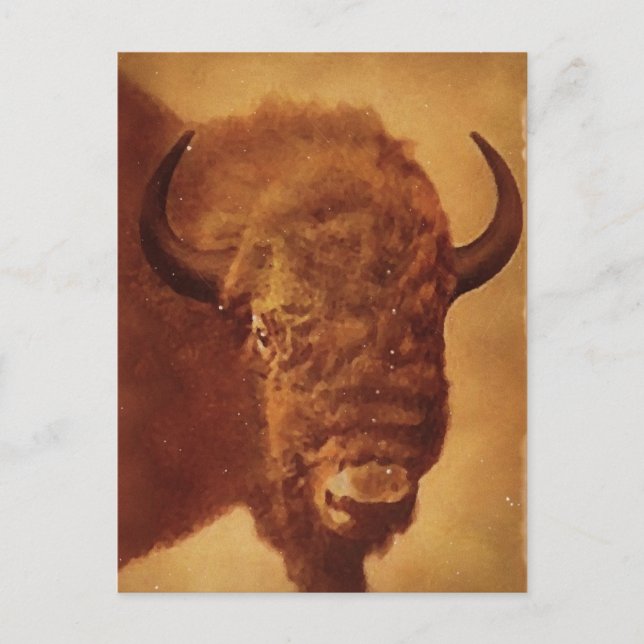 Carte Postale Buffle / Bison (Devant)