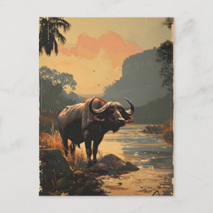 Carte Postale Buffle d'eau vintage
