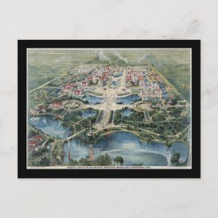 Carte Postale Buffle d'exposition panaméricain1901