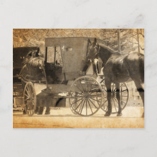 Carte Postale Buggy Avant Le Cheval, Amish Ramenez Le Nouveau Ch