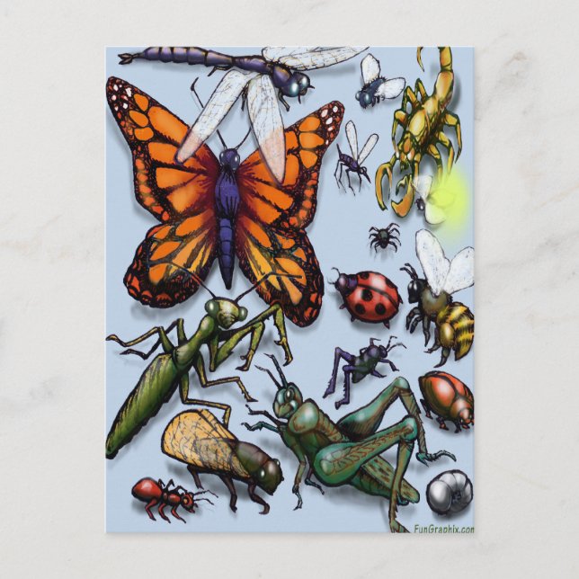 Carte Postale Bugs (Devant)