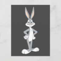 BUGS BUNNY™ | Stare-lapin