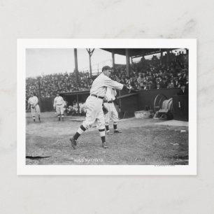 Carte Postale Bugs Raymond Pittsburgh Pirates Baseball