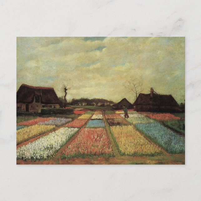 Carte Postale Bulb Fields par Vincent van Gogh (Devant)