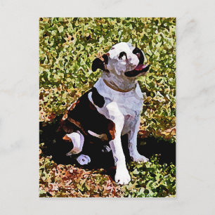 Carte Postale Buldog assis avec la bouche ouverte