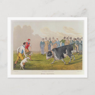 Carte Postale 'Bull Baiting', pub.de Thomas McLean, 1820, (impri
