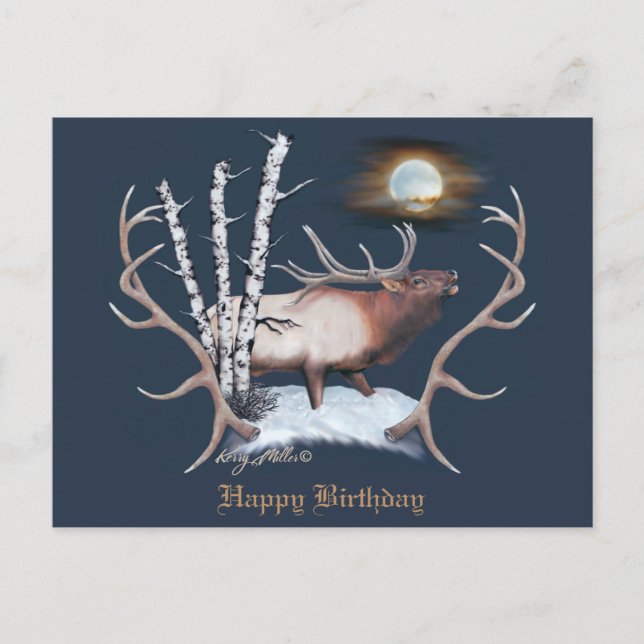 Carte Postale Bull Elk (Devant)