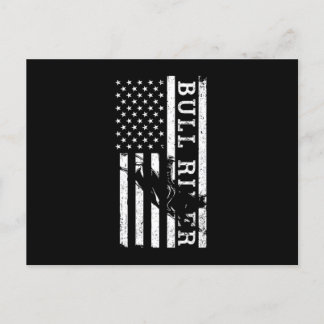 Carte Postale Bull Rider USA Drapeau Cowboy Rodeo Pays Ouest G