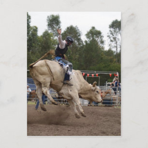 CARTE POSTALE BULL RIDING BERT