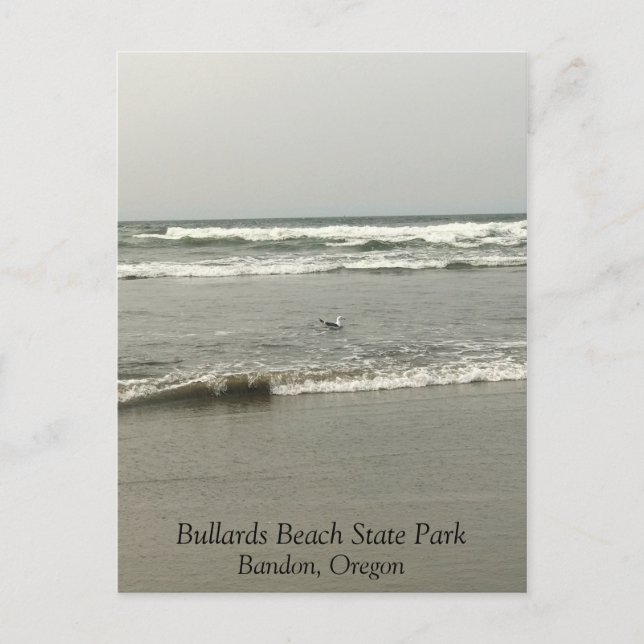 Carte Postale Bullards Beach State Park, Bandon, Oregon (Devant)