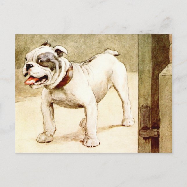 Carte Postale Bulldog (Devant)