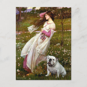 Carte Postale Bulldog 9 anglais - Fleurs à vent