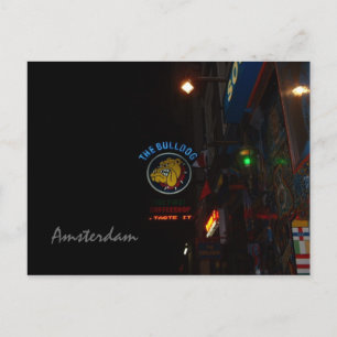 Carte Postale bulldog, Amsterdam