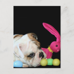Carte postale Bulldog de Pâques