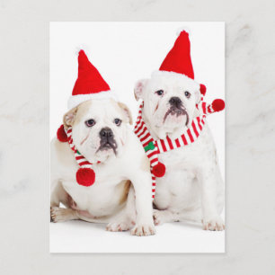 Carte Postale Bulldog Elves