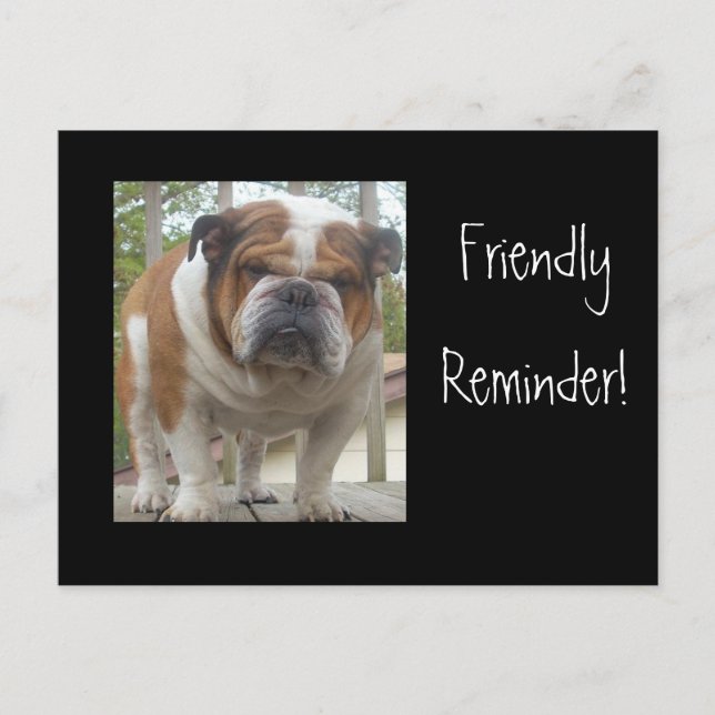 Carte postale Bulldog en anglais (Devant)