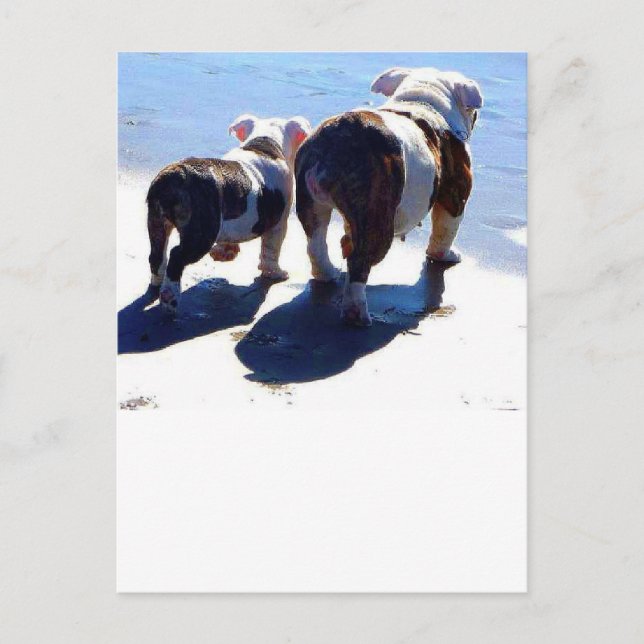 Carte Postale Bulldog et chiot anglais (Devant)
